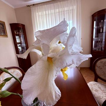 Будинок в якому можна і жити, і працювати, і відпочивати