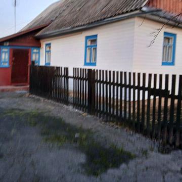 Дім.село Дублинки. Звягельський район