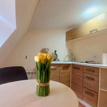 ‼️Центр! Майдан Незалежності! Золоті ворота! Мала Житомирська, 20г