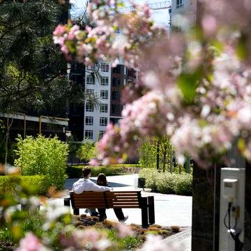 Велика 2к 77м² біля школи. Нова черга. Є укриття Лише 49 000 грн/м² ЖК Синергія Сіті