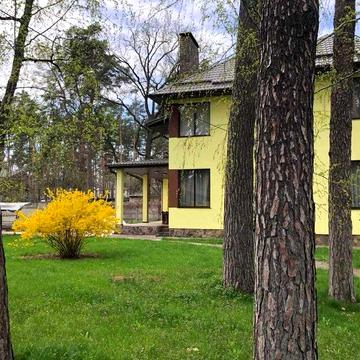 Буча ліс Газ Генератор Басейн Камін велика ділянка та будинок Кабінет