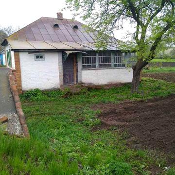 Продається садиба с.Сари Миргородський  р-н.Будинок потребує ремонту.