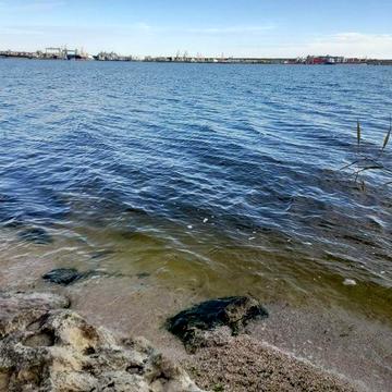 Дача біля Миколаєва,  на березі лиману