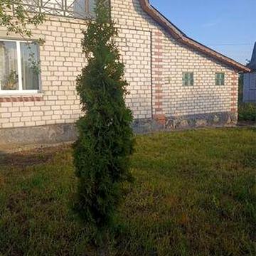 Продам будинок в дачному масиві с. Чижівка