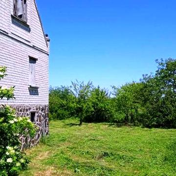 №:12598 — Продаж будинку, c. Некраши, 119 м², 60 сот., 2-пов., цегла