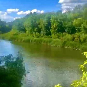 Продаж садиби з великою земельною ділянкою біля річки Псьол