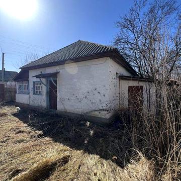 Будинок58м²+15 соток,дача біля Києва(70 км)с.Білейки Чернігівський р-н