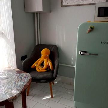 Аренда, однокімнатна квартира 4/5 Григорія Сковороди, Ірпінь