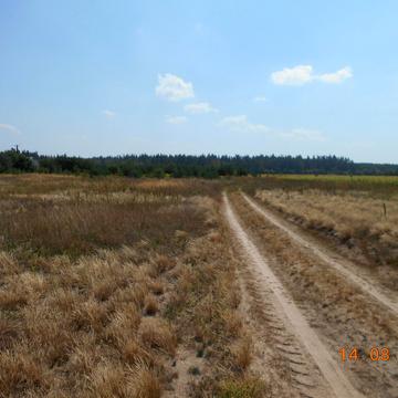 Ясногородка, Фастівський, Київська область 125000.0 USD