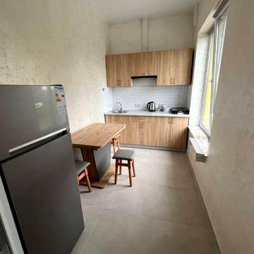 Здається 1 кімнатна квартира