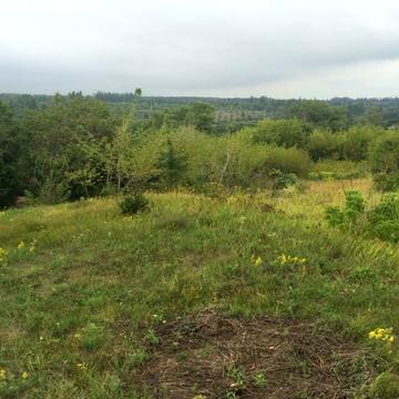 Кармелюка 18