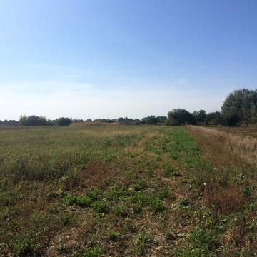 Пшеничне, Білоцерківський, Київська область 180000.0 UAH