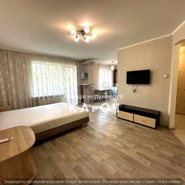 Здам 1к квартиру в ЦЕНТРІ міста з АГО!