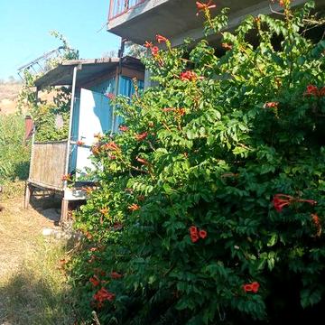 В продаже летний домик на набережной с видом на море. Крыжановка.