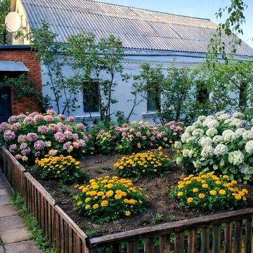 Продаж 6к Дім Папулова вулиця