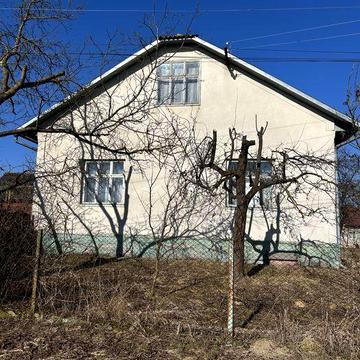 Господарство в с.Михальча Будинок 145 кв.м. Ділянка 0.25га + 0.112га
