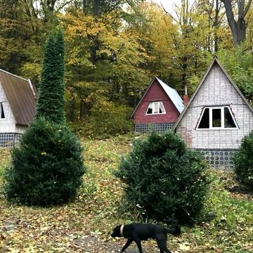 Красилів, Хмельницький, Хмельницька область 200000.0 USD