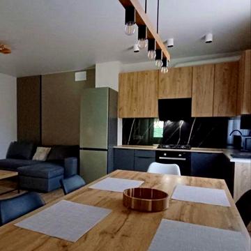 Сдам дом Новосілки Хотянівка вихід на десну