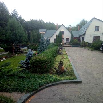 Дім оазис в сосновому бору