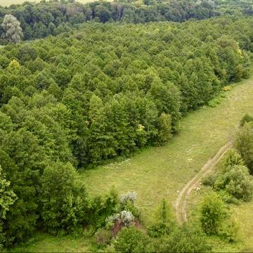 Будинок + 0.6га землі біля лісу і річки