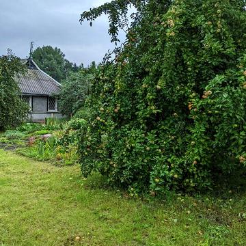 Продаж 3к Дім вулиця Шевченка