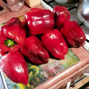 Продам дачу на масиві " Промінь".