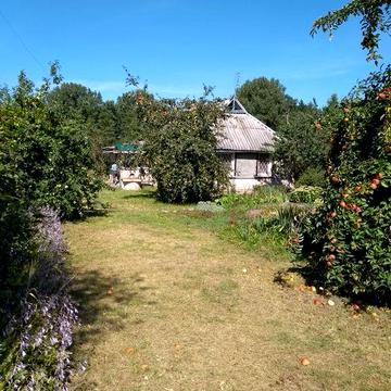 Продается дом в жилом состоянии селе Почуйки 110 км от Киева