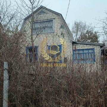 Продаж дачного будинка у сосновому лісі в 40 км від Києва