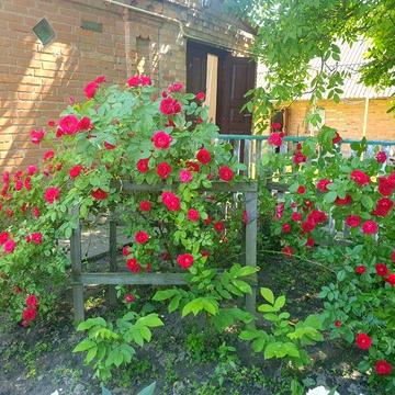 Продається будинок у Старому Солотвині. Газ, вода, меблі. Власник.