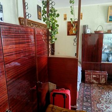 Велика 1кімнатна Половки