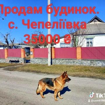 Продам будинок. С. Чепеліївка. Білоцерківський район. Від власника.