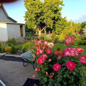 Продам дачу в районі ПЗТО