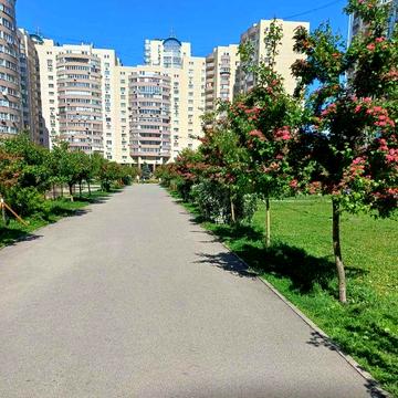 Здаю в оренду 2х.кім.кв. Київ ,жк.Парковий, бульвар Миколи Руденка 14Б