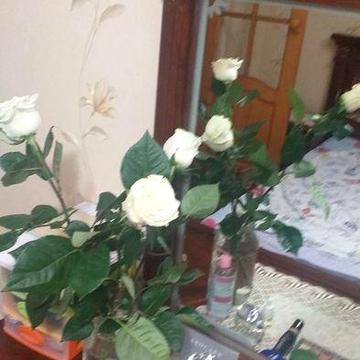 Хозяйка.4-х ка Тарле, "Тандем" (начало) на 2 Таврике