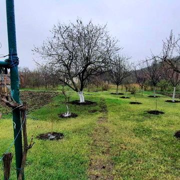 Дача у м.Кривий Ріг "Восход" 1 км від вул.Чарівна