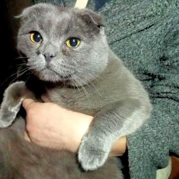 Здам часть дома на дослидной