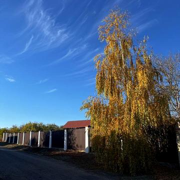 Продам дачу в Лозоватке