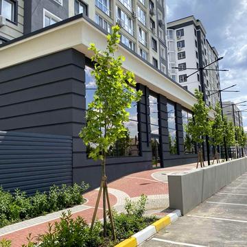 Олекси Тихого пров., 2