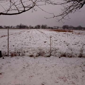 Нерухомість будинки