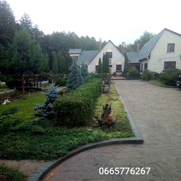 Дім оазис в сосновому бору