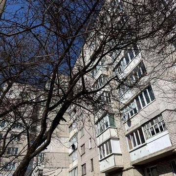 Довгострокова оренда. Двокімнатна квартира з ремонтом. G