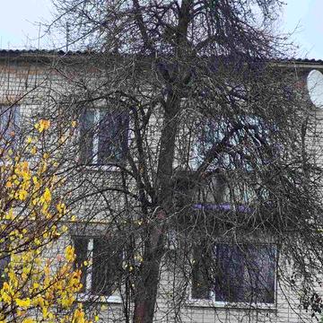 Продам двох кімнатну квартиру в 16 квартирному будинку