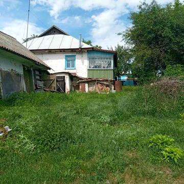 Будинок у центрі села великий город, сад і річка Митківці летичівський
