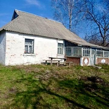 Будинок 62 м² з ділянкою 62 сотки біля ставка — с. Велика Вовнянка