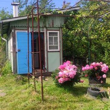Продам дачу в селі Дережичі