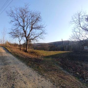 Будинок біля лісу в Карпатах, приватизована земля, ставок