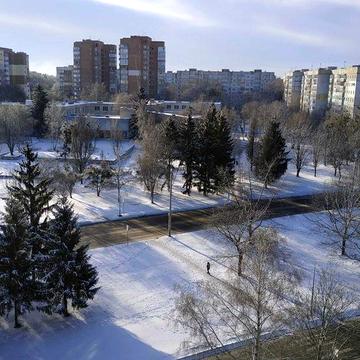 Здам в оренду однокімнатну квартиру БЕЗ холод-ка, БЕЗ пральної маш-ки