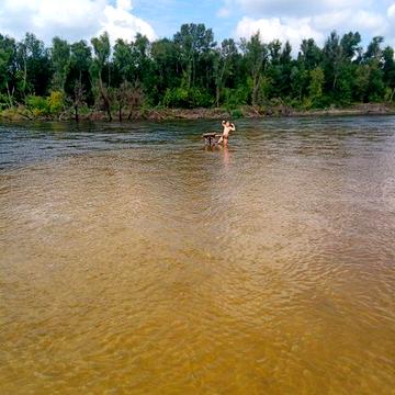 Оренда будинку в Острі, власник.