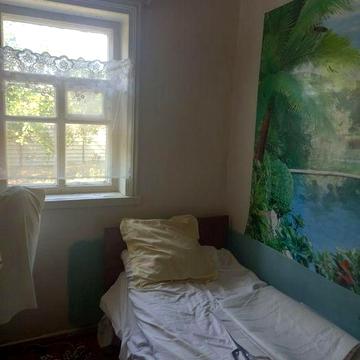 Продам будинок с. Боровиця