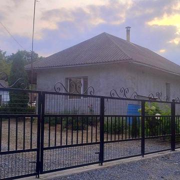 Терміново продам будинок з пасікою в селі Бузовиця